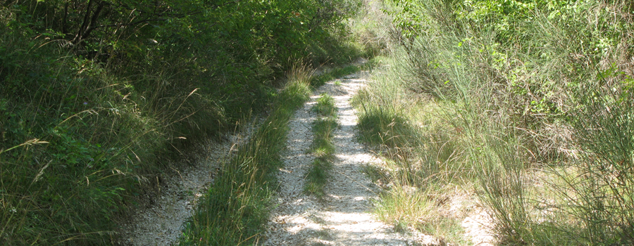 Monte Catria Sentiero 66 - immagine 3
