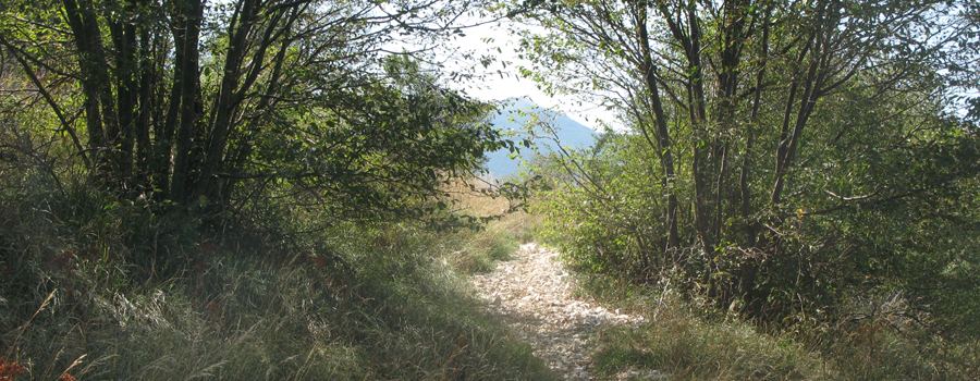 Monte Catria Sentiero 66 - immagine 4
