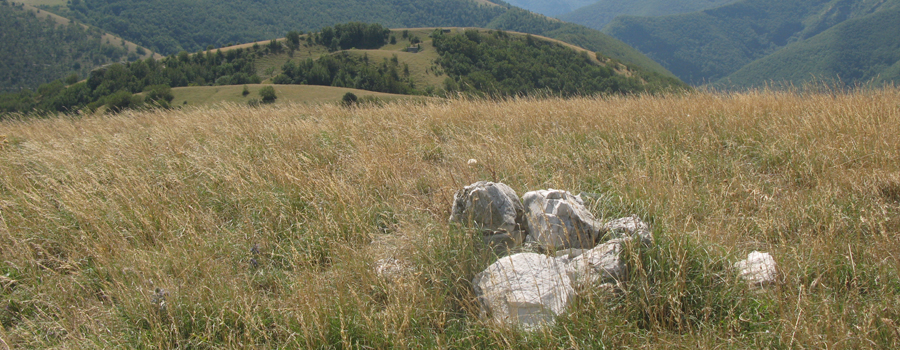 Monte Catria Sentiero 66 - immagine 5 (Monte Roma)