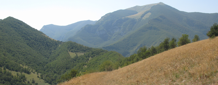 Monte Catria Sentiero 66 - immagine 6