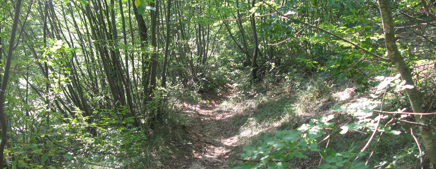 Monte Catria Sentiero 66 - immagine 7