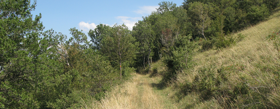 Monte Catria Sentiero 66 - immagine 8