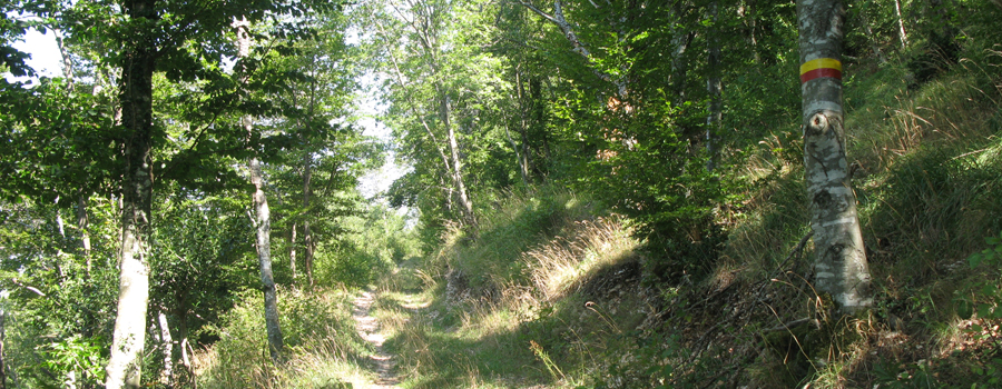 Monte Catria Sentiero 66 - immagine 9