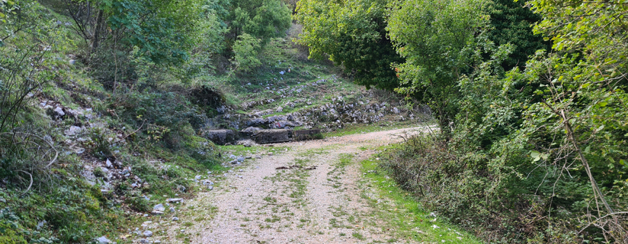 Monte Catria Sentiero 66 - immagine 10