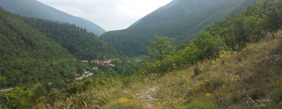 Monte Petrano Sentiero 67 - immagine 6 (Foci di Cagli)