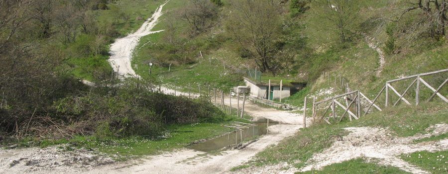 Monte Catria Sentiero 68 - immagine 10 (Fonti Luca)