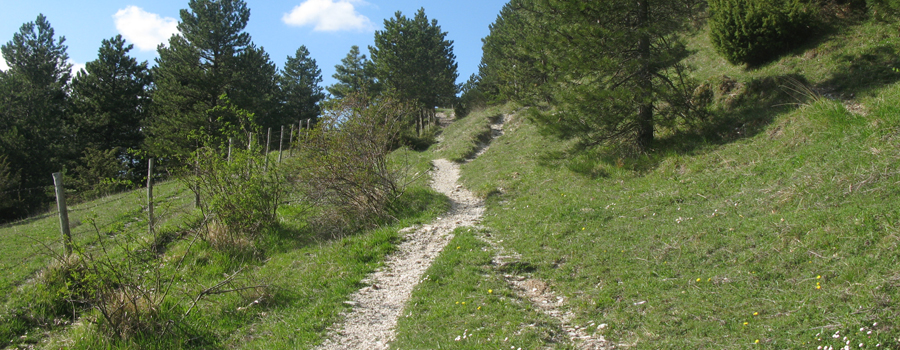 Monte Catria Sentiero 68 - immagine 11