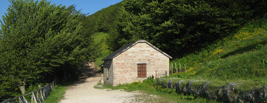 Monte Catria Sentiero 69 - immagine 12 (Rifugio Vernosa)