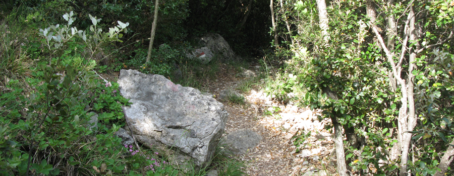 Monte Nerone Sentiero 7 - immagine 7
