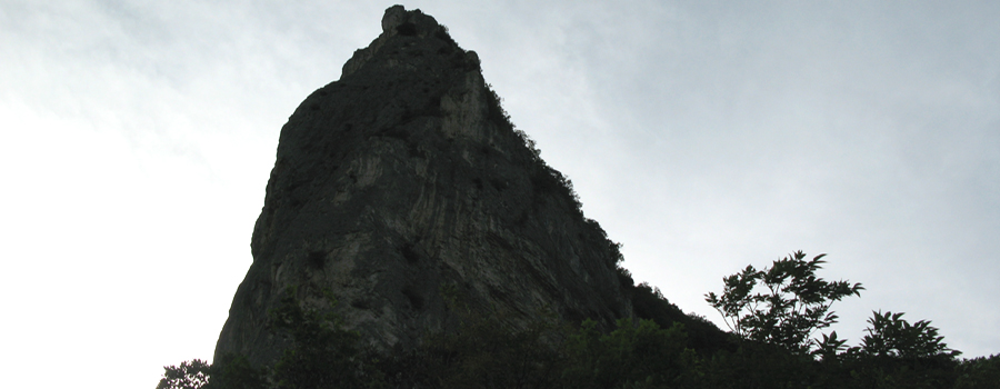 Monte Nerone Sentiero 7 - immagine 8 (Balza della Penna)