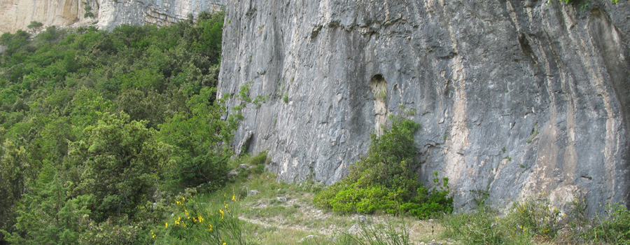 Monte Nerone Sentiero 7 - immagine 9