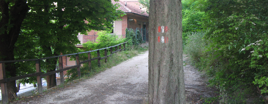 Monte Petrano Sentiero 70 - immagine 1