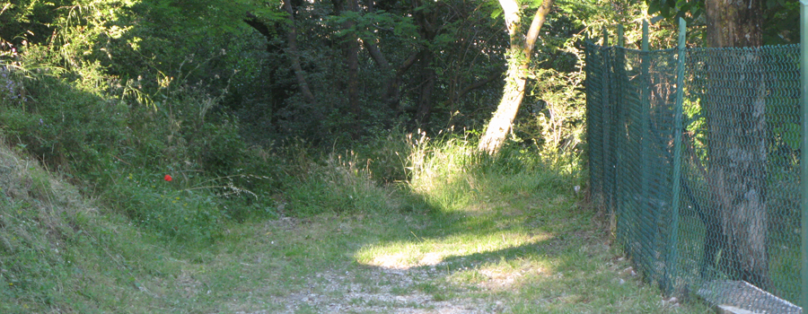 Monte Petrano Sentiero 70 - immagine 2