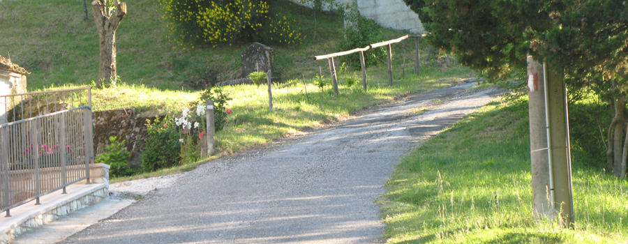 Monte Petrano Sentiero 70 - immagine 3