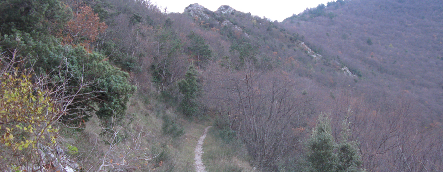 Monte Petrano Sentiero 70 - immagine 4