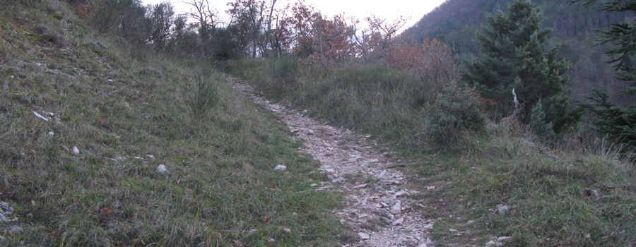 Monte Petrano Sentiero 70 - immagine 5