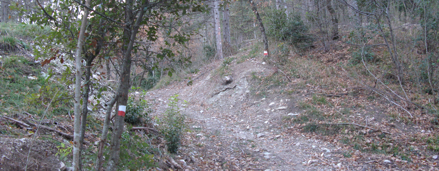 Monte Petrano Sentiero 70 - immagine 6
