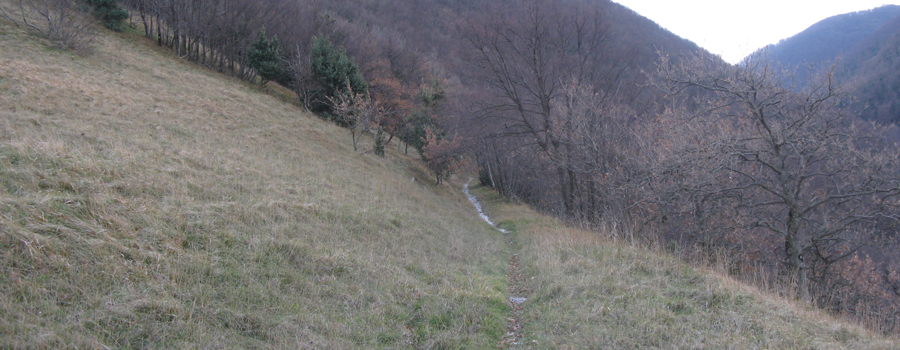 Monte Petrano Sentiero 70 - immagine 7