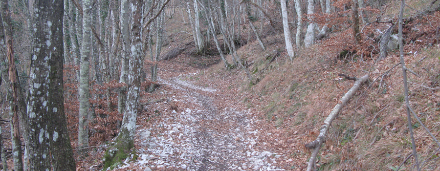 Monte Petrano Sentiero 70 - immagine 8
