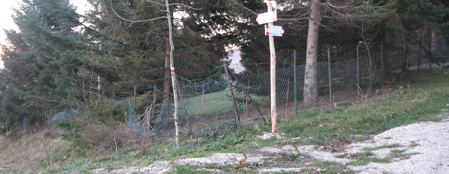 Monte Petrano Sentiero 70 - immagine 10