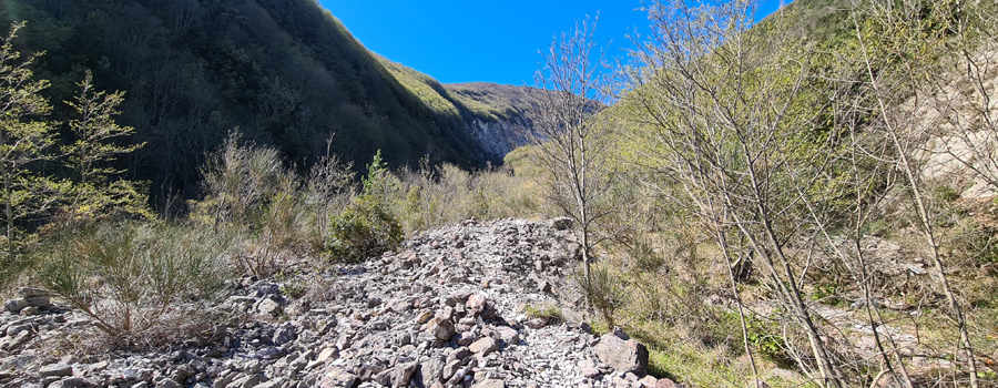 Monte Petrano Sentiero 71 - immagine 4