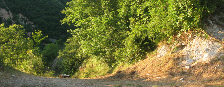Monte Petrano Sentiero 72 - immagine 2