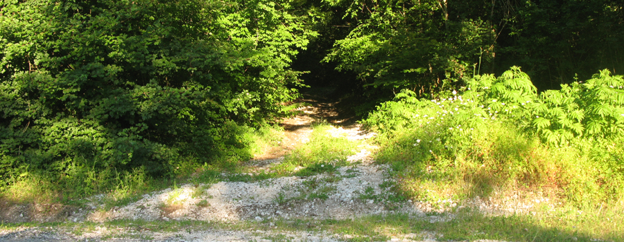 Monte Petrano Sentiero 72 - immagine 8