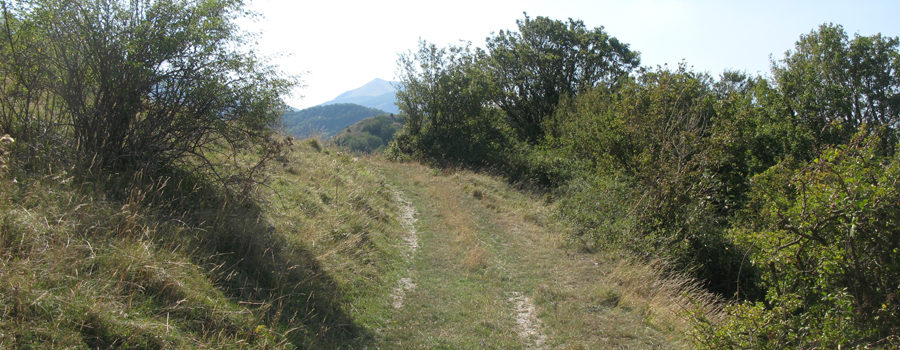 Monte Catria Sentiero 73 - immagine 7