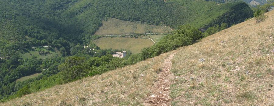 Monte Catria Sentiero 73 - immagine 14 (Fonte Avellana)