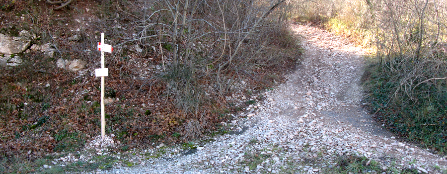 Monte Petrano Sentiero 74 - immagine 1