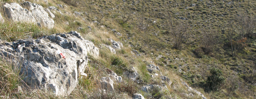 Monte Petrano Sentiero 74 - immagine 7