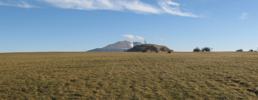 Monte Petrano Sentiero 74 - immagine 12