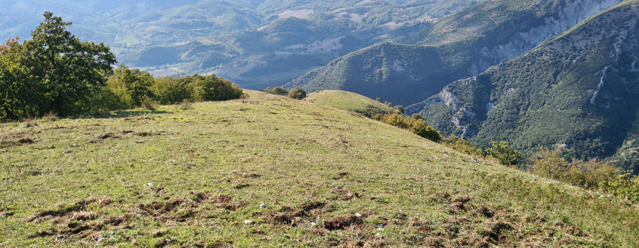 Monte Catria Sentiero 75 - immagine 6