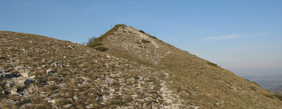 Monte Catria Sentiero 75 - immagine 7