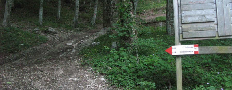 Monte Catria Sentiero 77 - immagine 2