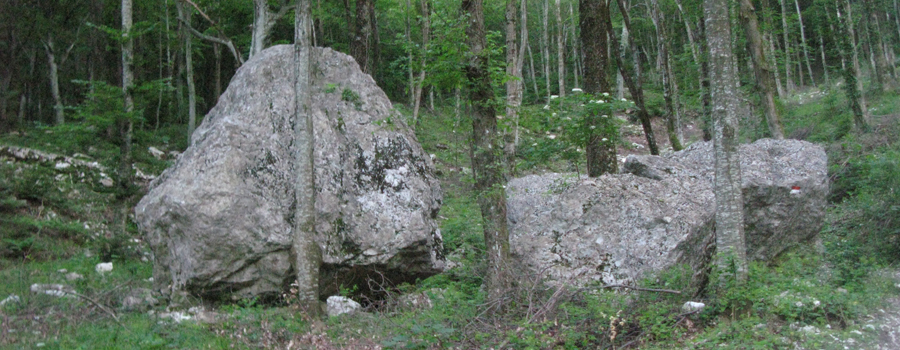 Monte Catria Sentiero 77 - immagine 3