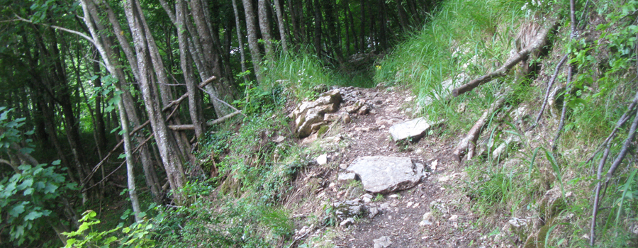 Monte Catria Sentiero 77 - immagine 4