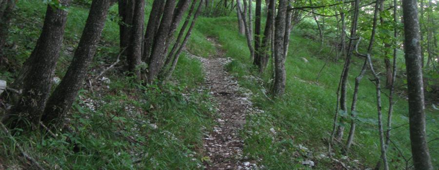 Monte Catria Sentiero 77 - immagine 5