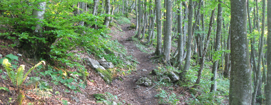 Monte Catria Sentiero 77 - immagine 7