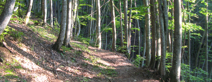 Monte Catria Sentiero 77 - immagine 8