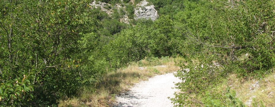 Monte Nerone Sentiero 8 - immagine 2
