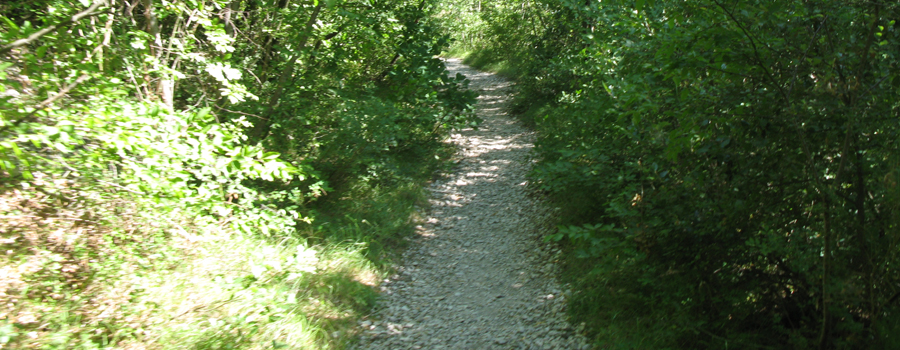Monte Nerone Sentiero 8 - immagine 3