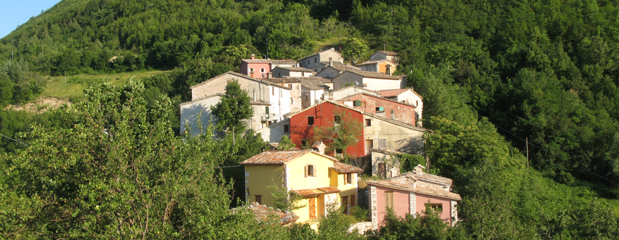 Monte Nerone Sentiero 8 - immagine 7 (Bacciardi)