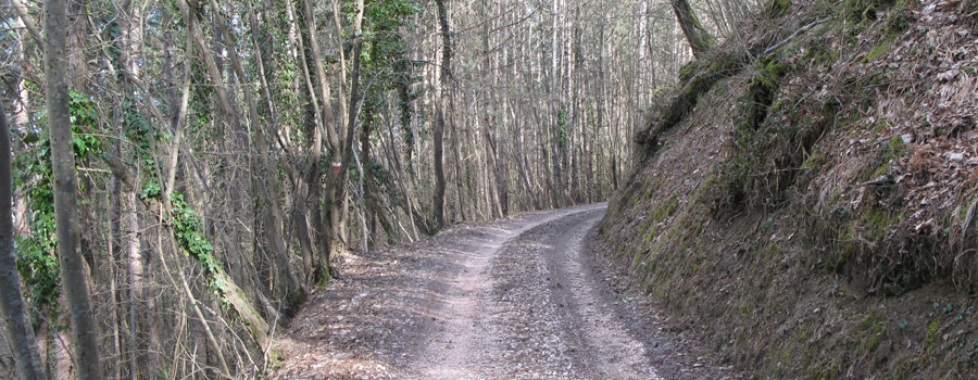 Alpe della Luna Sentiero 83 - immagine 3
