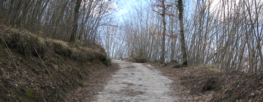 Alpe della Luna Sentiero 83 - immagine 5