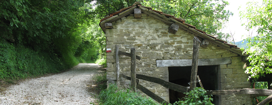 Alpe della Luna Sentiero 84 - immagine 2