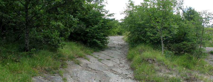 Alpe della Luna Sentiero 84 - immagine 12