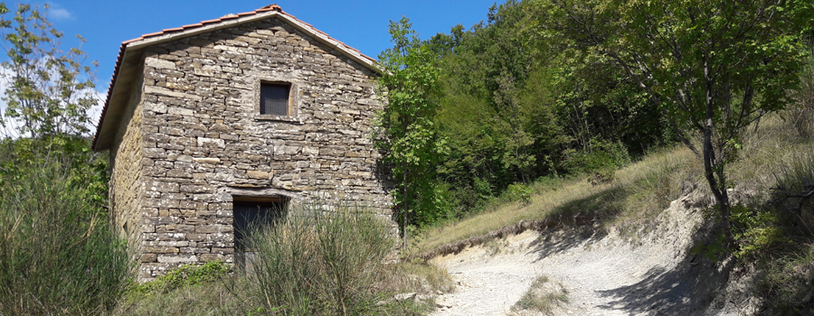 Alpe della Luna Sentiero 89 - immagine 4