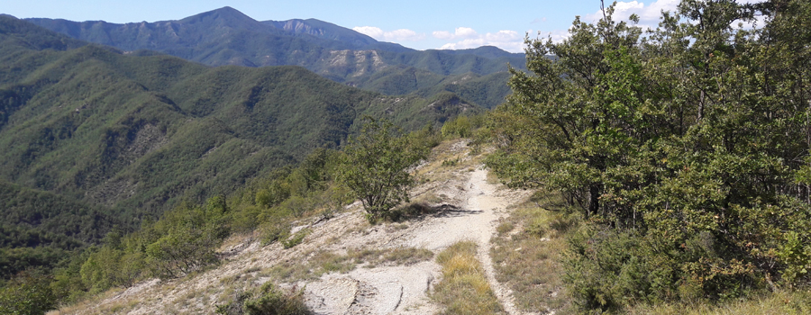 Alpe della Luna Sentiero 89 - immagine 7