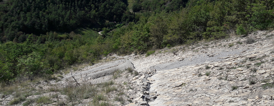 Alpe della Luna Sentiero 89 - immagine 8